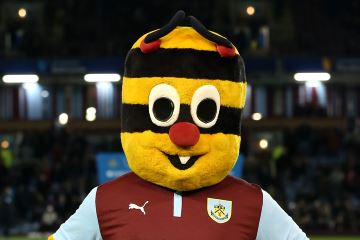Burnley mascot Bertie Bee
